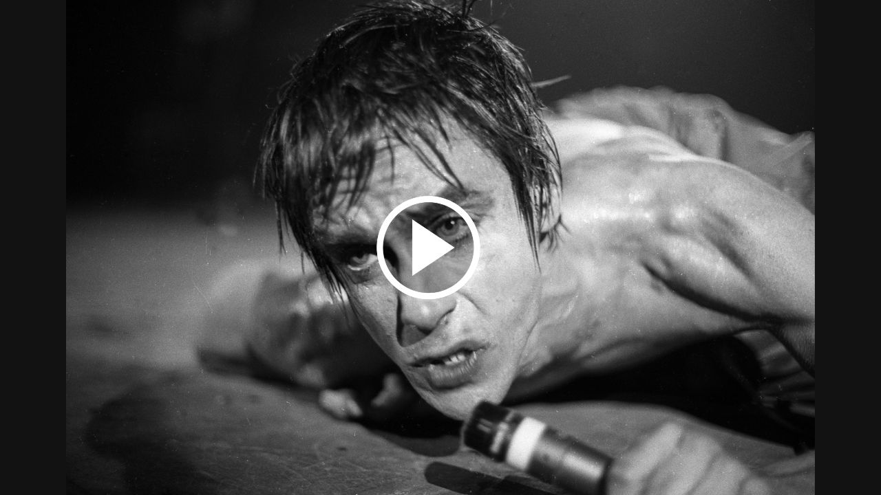 Iggy Pop – Real Wild Child (Wild One)